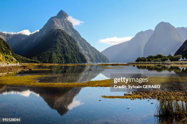 mitre peak reflecting in the water - mitre peak stock pictures, royalty-free photos & images