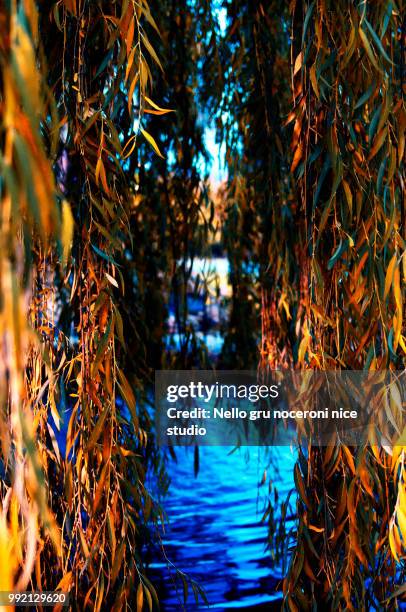 shhhh... - shhhh stockfoto's en -beelden