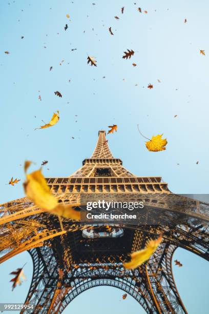 autumn in paris - tourism drop in paris stock pictures, royalty-free photos & images