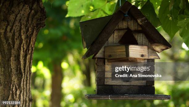 the birdhouse - volière stockfoto's en -beelden