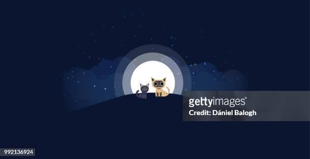Cats sitting on a hill background of the moonlight. All in a single layer. Vector illustration. Black and cream cat on hilltop with moon in a starry night in the background.