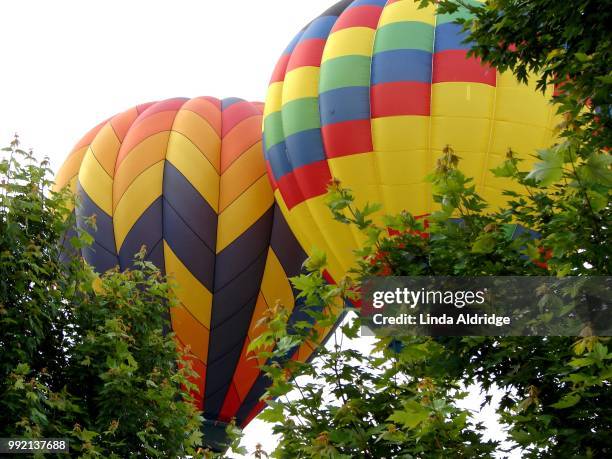 balloons in my backyard - aldridge stock pictures, royalty-free photos & images