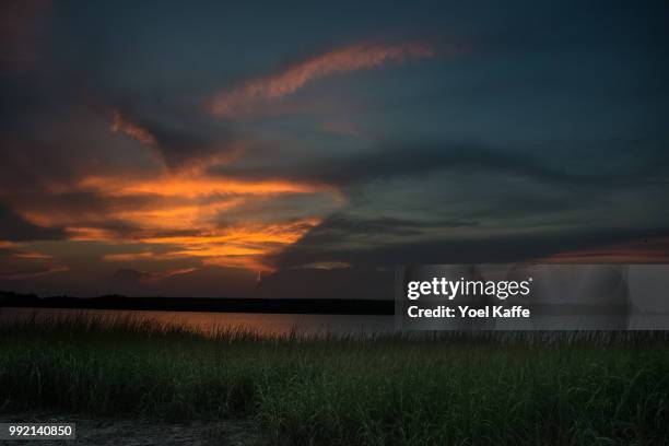 sea side color infusion - kaffe stockfoto's en -beelden