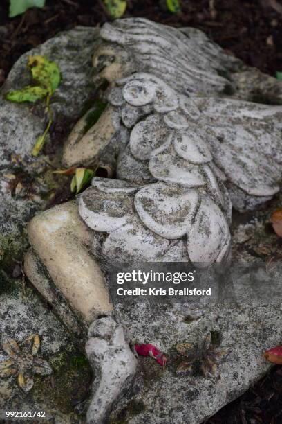 garden fairy - brailsford stock pictures, royalty-free photos & images