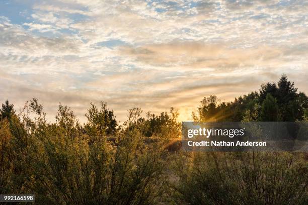 sunrise in tualatin - tualatin stock pictures, royalty-free photos & images