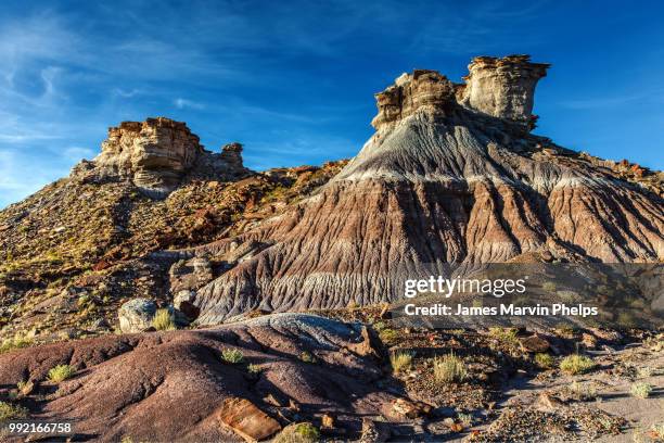 jasper forest badlands - jasper james stock pictures, royalty-free photos & images