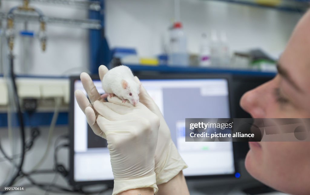 Animal experiment studies by the University of Muenster