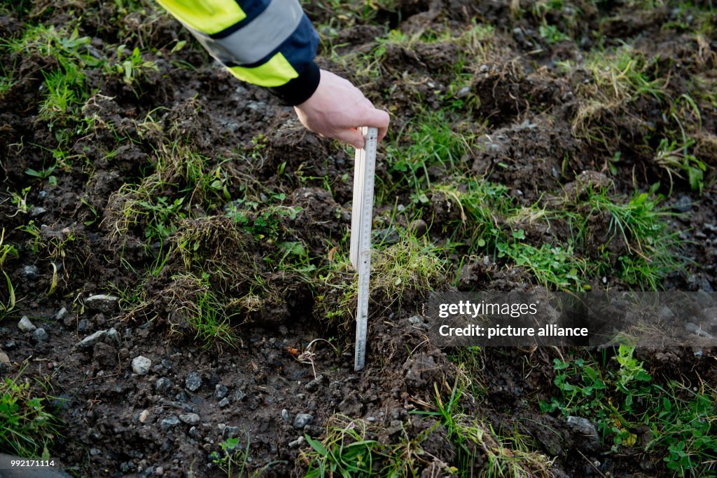 Dike damaged by wild boars