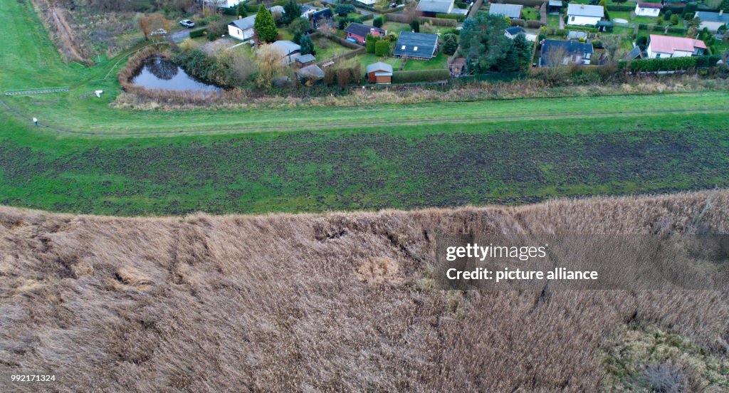 Dike damaged by wild boars