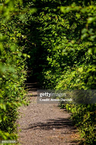 road to the unknown - darvish stock pictures, royalty-free photos & images