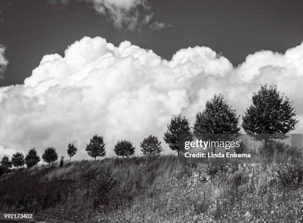 billowing cloud - billowing clouds at sunset stock pictures, royalty-free photos & images