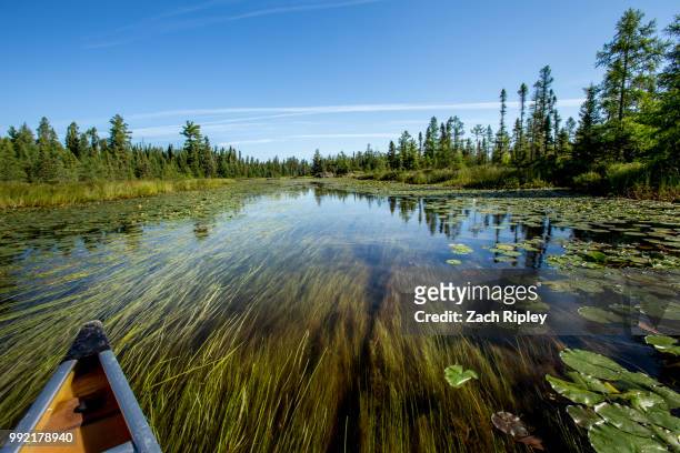 canoe over water grass - ripley stock pictures, royalty-free photos & images