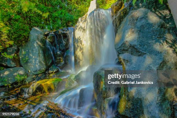 Reigning Images Reigning Photos and Premium High Res Pictures - Getty Images