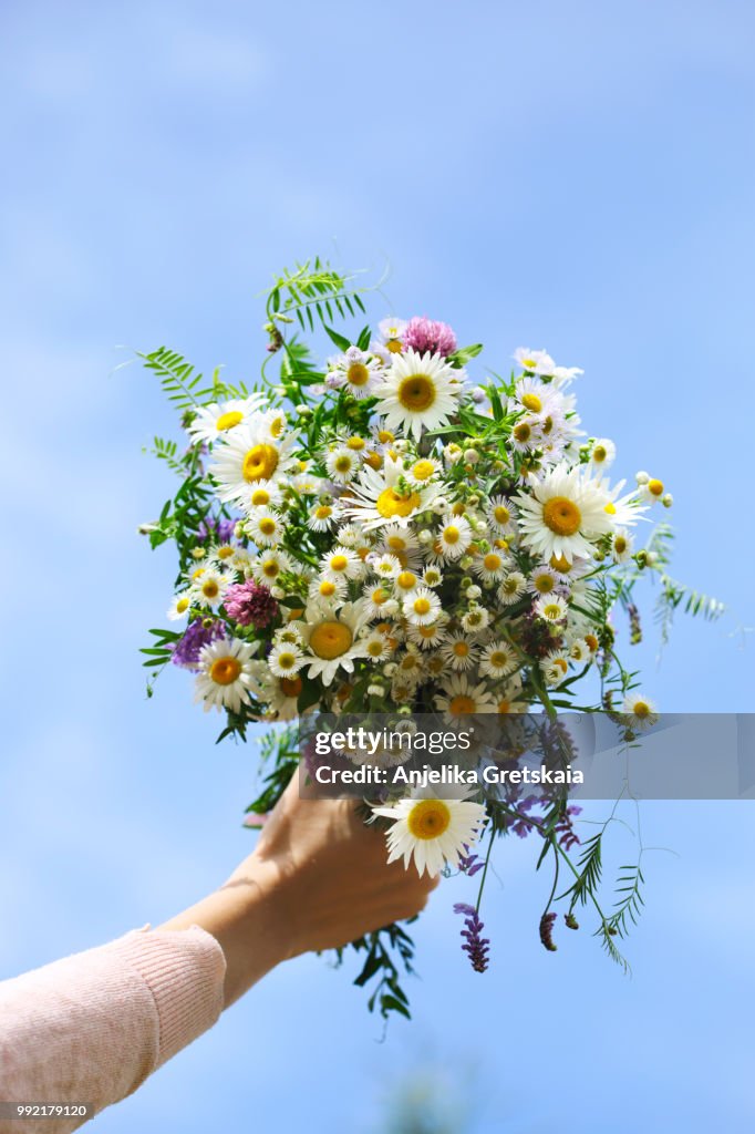 Woman's hand holding a bouquet of wildflowers against blue sky background