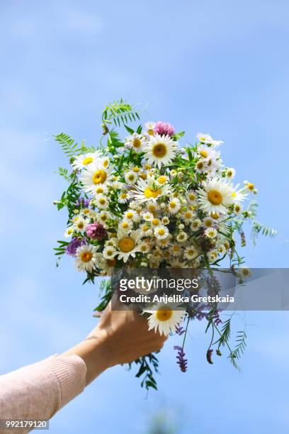 woman's hand holding a bouquet of wildflowers against blue sky background - bouquet stock pictures, royalty-free photos & images