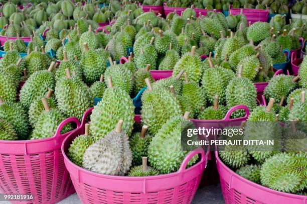 Durian Display Rack 569 Durian Stall Stock Photos, High-Res Pictures, and Images - Getty Images