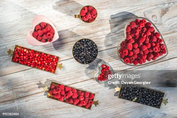 red and black raspberry and blueberry - animal internal organ stockfoto's en -beelden