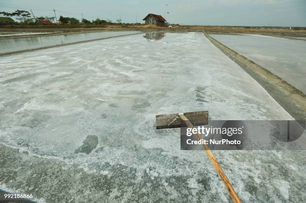 Farmers collect salt at one of the industrial salt centers in Mojowarno Village, Rembang, Central Java, July 5, 2018. The low productivity of the...
