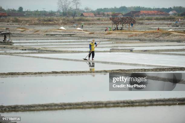 Farmers collect salt at one of the industrial salt centers in Mojowarno Village, Rembang, Central Java, July 5, 2018. The low productivity of the...