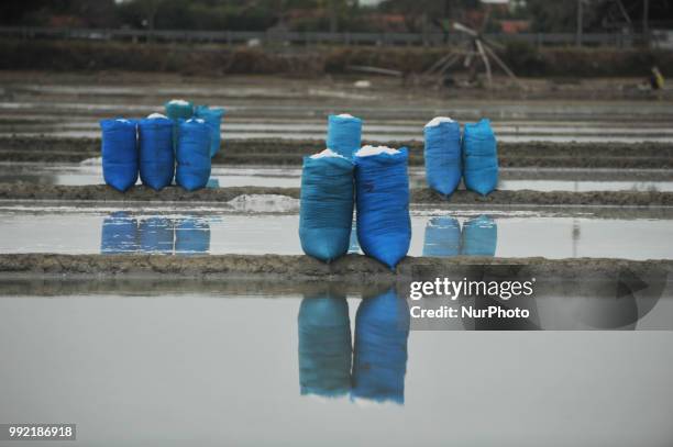 Farmers collect salt at one of the industrial salt centers in Mojowarno Village, Rembang, Central Java, July 5, 2018. The low productivity of the...