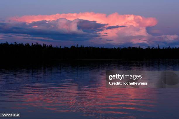 woodland caribou sunset - woodland caribou stock pictures, royalty-free photos & images