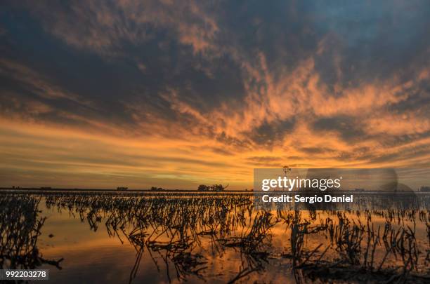 molino al atardecer - playa atardecer stock pictures, royalty-free photos & images