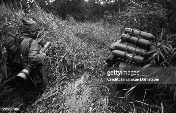 marines carrying weapon in swamp - carabina fotografías e imágenes de stock