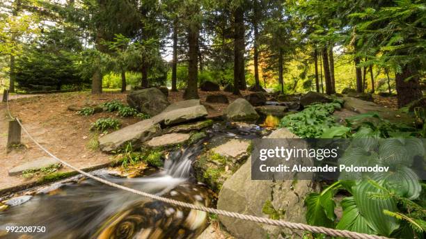 small stream at japanese garden - alexander garden stock pictures, royalty-free photos & images