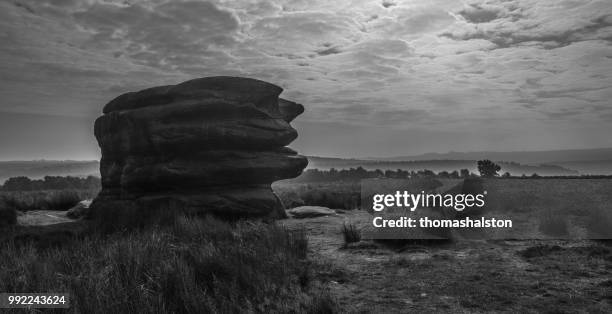 eagle stone in black & white - black eagle stock pictures, royalty-free photos & images
