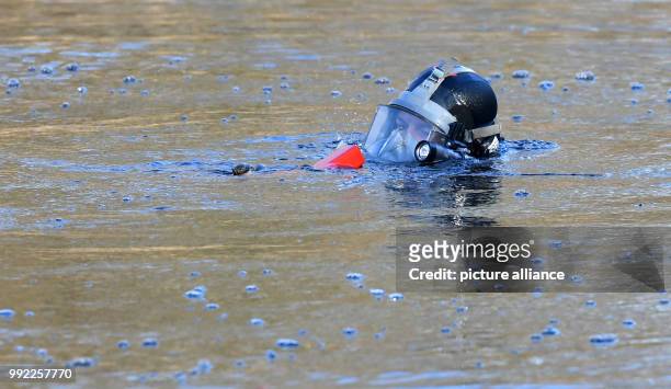 Police diver dives in the Fennpfuhl pond in the district of Britz in Berlin, Germany, 29 November 2017. So-called 'stumbling stones' , remembering...