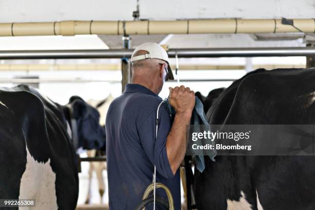 Farmer holds an automated milking unit as cows are milked at the Smilaire Registered Holsteins farm, a dairy supplier to Sartori Co. Cheese, in...