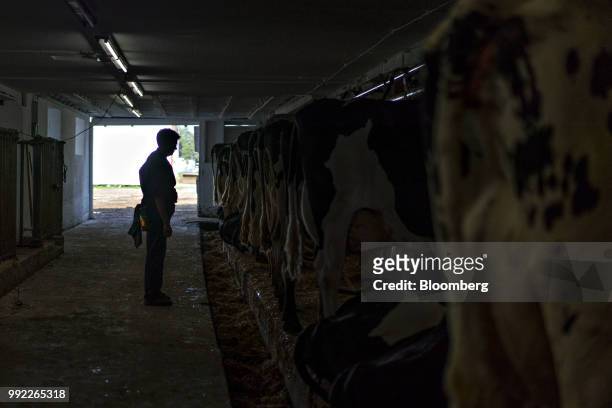 Farmer monitors cows being milked inside a barn at the Smilaire Registered Holsteins farm, a dairy supplier to Sartori Co. Cheese, in Waldo,...