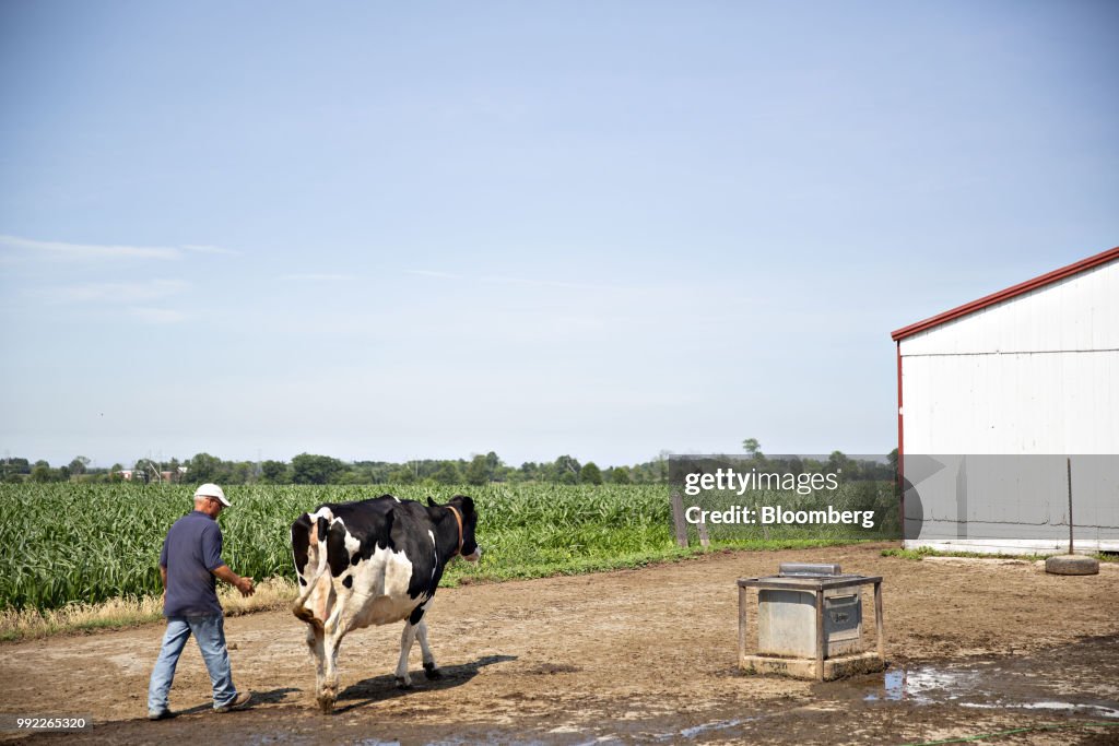 Operations At Sartori Co. Cheese Facility As U.S. Producers Fear Mexico's Retaliatory Tariffs
