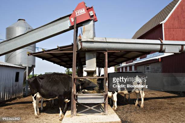 Cows eat from a feeder at the Smilaire Registered Holsteins farm, a dairy supplier to Sartori Co. Cheese, in Waldo, Wisconsin, U.S., on Tuesday, July...