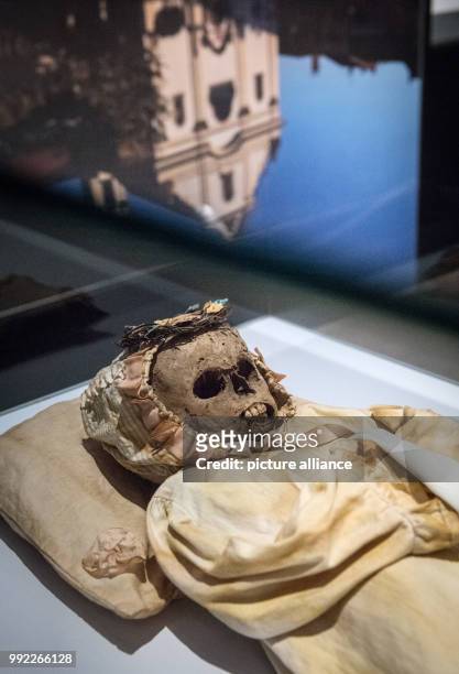 Photograph of the mummified body of a child from a crypt in the Dominican church in Vac, Hungary , taken in the special exhibition "Mummies. The...