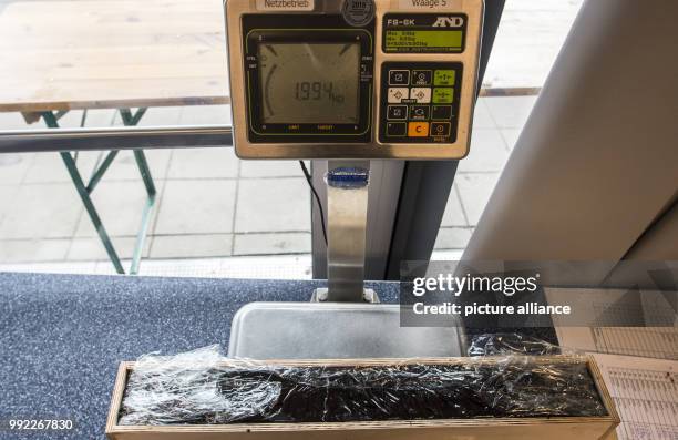 Part of the giant hedgehog slice weighing in at 2 kilograms in Berlin, Germany, 30 November 2017. A hedgehog slice is a dessert made out of cocoa and...