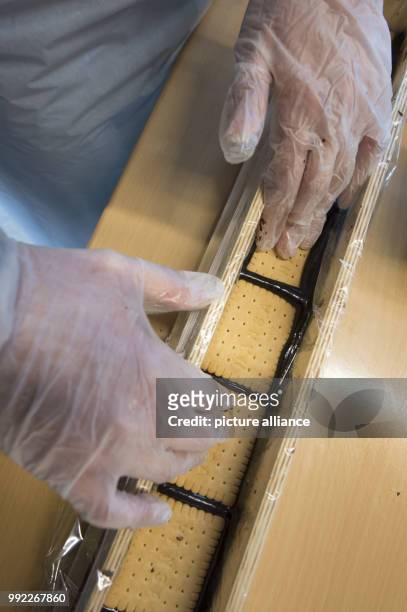 Student at the Philipp Reis School in Berlin's Lichtenberg helping in the production of a giant hedgehog slice in Berlin, Germany, 30 November 2017....