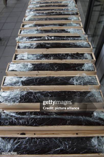 The finished parts of a hedgehog slice packed tightly next to each other in Berlin, Germany, 30 November 2017. A hedgehog slice is a dessert made out...