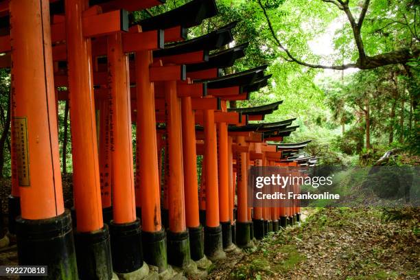 fushimi inari taisha - inari shrine stock pictures, royalty-free photos & images