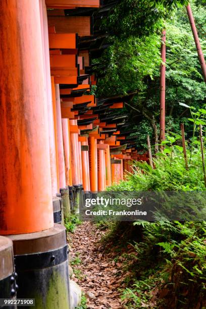 fushimi inari-taisha - inari shrine stockfoto's en -beelden