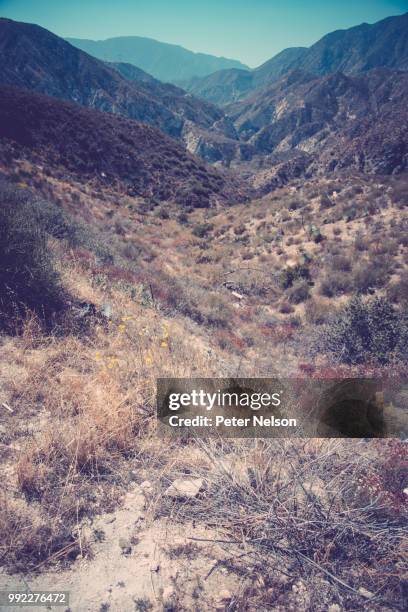 up high into the unknown - peter nelson fotografías e imágenes de stock