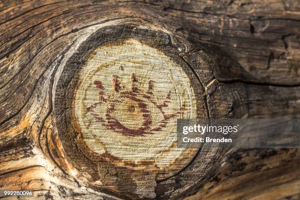 tree stump art - beenden stock pictures, royalty-free photos & images