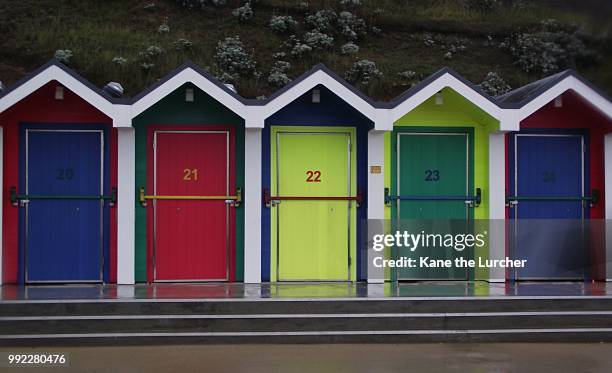 26-07-15 - doors - barry island - lurcher stockfoto's en -beelden