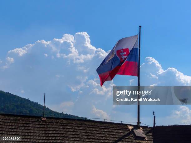 slovak flag - slovacchia foto e immagini stock