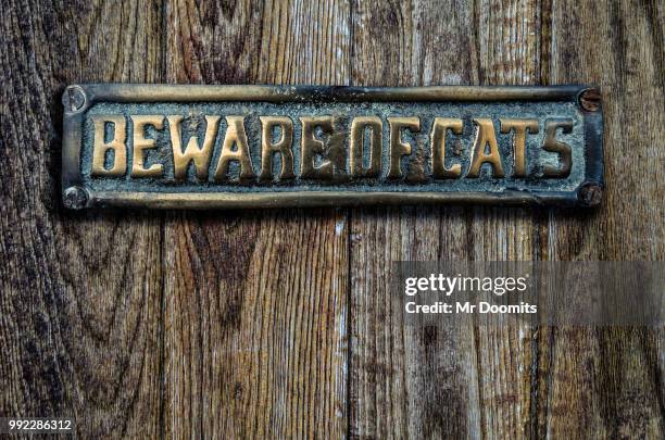 beware of cats sign on wooden door - metal nameplate stock pictures, royalty-free photos & images