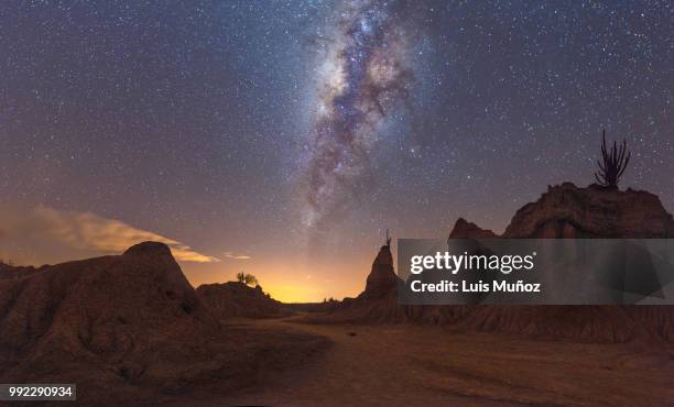 desierto de la tatacoa, colombia - desierto 個照片及圖片檔