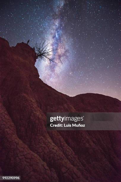 desierto de la tatacoa, colombia - desierto 個照片及圖片檔