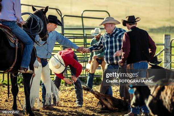 kastration vieh in utah - human castration stock-fotos und bilder