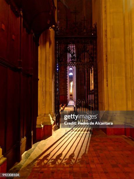 hommage to pope francis - hommage stockfoto's en -beelden