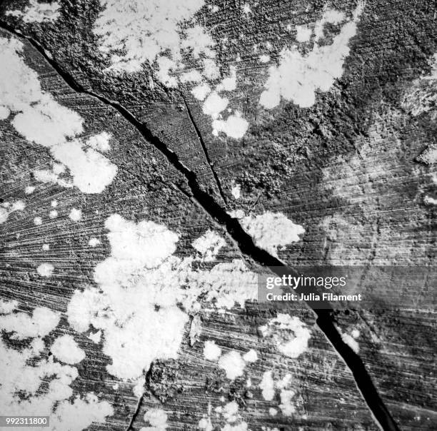 Cracked Rocks Ink Cracked Ink Patterns Photos and Premium High Res Pictures - Getty Images
